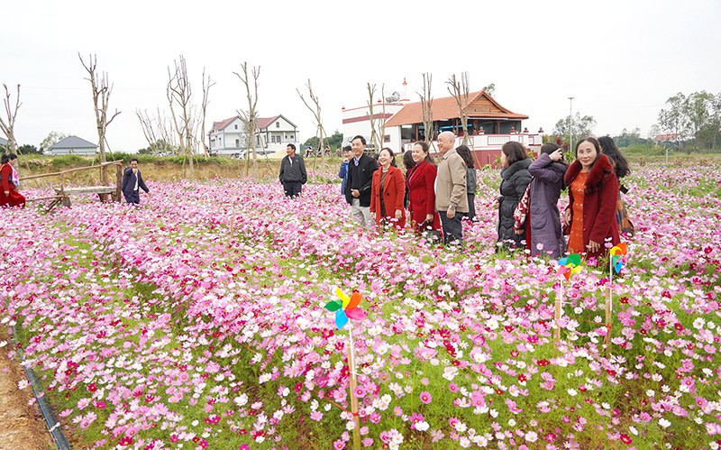 Vườn hoa đẹp gần Phong Nha