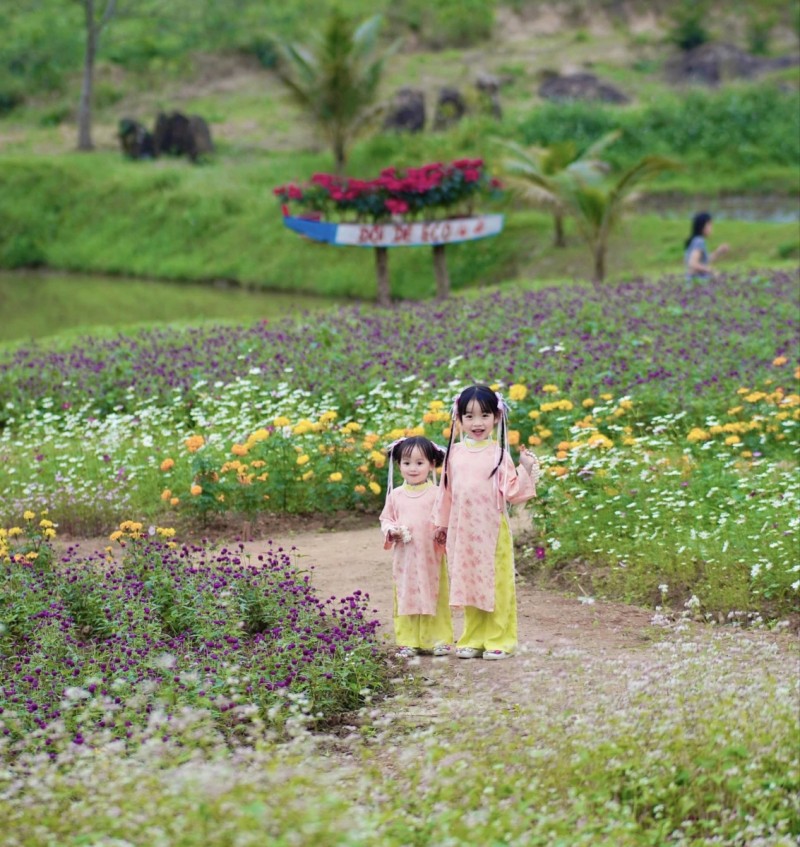 Vườn hoa Phong Nha đẹp nhất